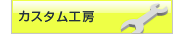 �J�X�^���H�[